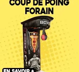 Location machine à coup de poing forain