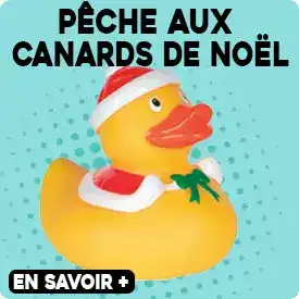 canards-de-noel peche aux canards